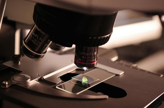 Why Lab Reports Matter: Ensuring Safety and Quality in Cannabis Products